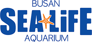 �λ� �������� �����Ƹ��� logo